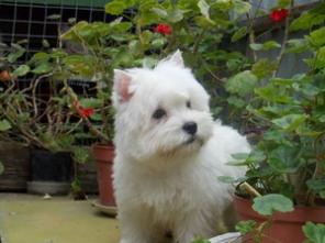 ����� ���� ������� ���� ������