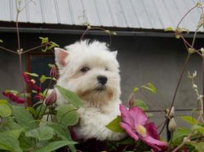 ����� ���� ������� ���� ������