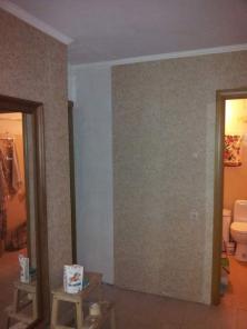 1-� ��������, 45 �². ���������.