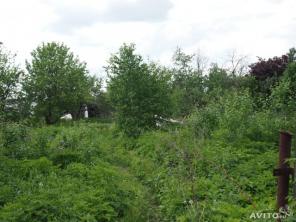 ������ ������� 10 ����� ���������� �-� �.������