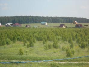 ������ ������� 10 �����