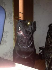 ������� ������! �������� ����� �����!