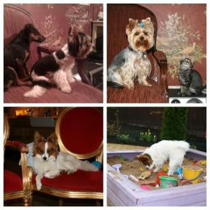 ���������� ����� ������ ����� �� ����