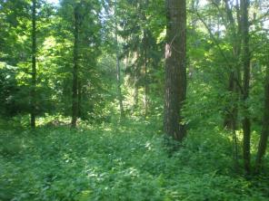 ������� ���������� ������� ������- ���������� �.