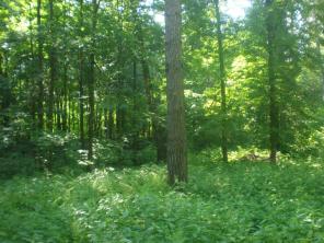 ������� ���������� ������� ������- ���������� �.