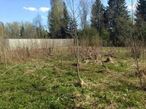 ������ ������� 8 ����� � ���������� �������