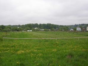 ������� 25 �����. �����  ����������  �������.