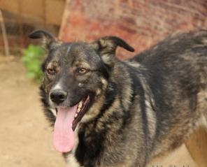 � ��� ������� ������ ����-�������� �������� � ��������� ���� ��� ����� �����  � ���� ����������� �����