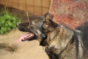 � ��� ������� ������ ����-�������� �������� � ��������� ���� ��� ����� �����  � ���� ����������� �����