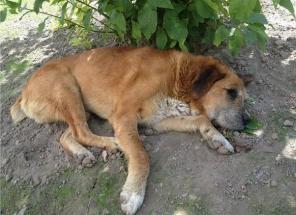 ���������� ������ �����. �������� ��� ����� ���... (���)