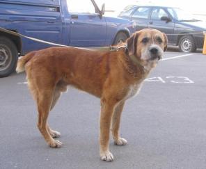 ���������� ������ �����. �������� ��� ����� ���... (���)