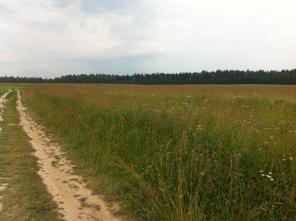 ��������� ��������� ������� 7 ����� � �. ���������