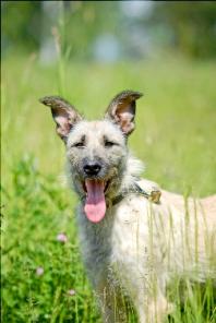 � ��� ����������� ������� ������ � ����� �����-���������� ������� ���� �����-��������