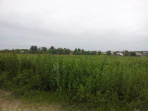 ������ 2 ������� � �. ��������. 6 � 10 �����.