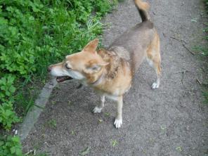 ����� � ������� ���� �������