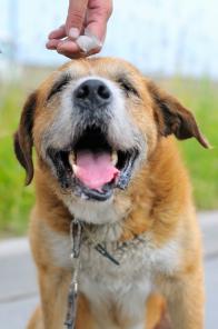 ������ �����. �������� ��� ����� ���! (���)