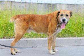 ������ �����. �������� ��� ����� ���! (���)