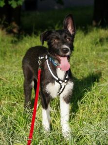 � ���! ������� �����, ��������� � ������!