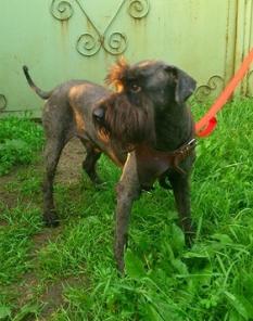 �������������� ������ ����� � ���