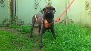 �������������� ������ ����� � ���