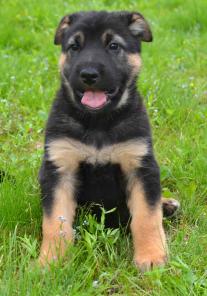 ������� ���� �����.