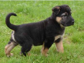 ������� ���� �����.