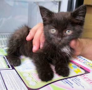 �������� �� ��� ���� ����� �� ����� ���� ���� ������ ������.