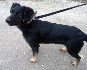 Джульетта ищет семью.