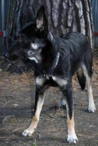 ����� ������ � ��� ���.