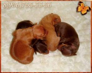 ��� ������ ����� ������� �� ���������