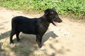 ��������� ������� �������-����� 2.5 ��� � ���!