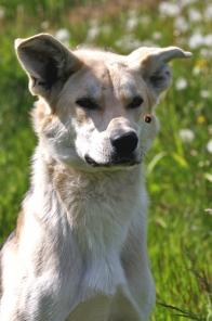 ������ - ���������, �������� ��� ���� ���.