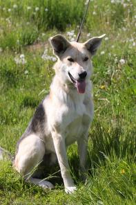 ������ - ���������, �������� ��� ���� ���.