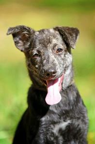 ������, ����� ��� ������ ��������� � ��� (3���)