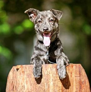 ������, ����� ��� ������ ��������� � ��� (3���)