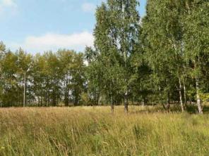 ������ ��������� ������� 15 �����.