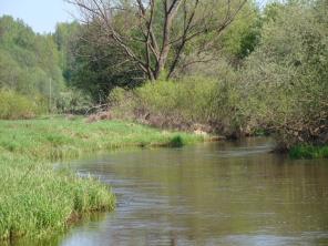 ��� ������� ������������ �� ������������ ����� �� �������.