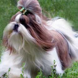 ������� ������ ��-��� ���������� �� �����.