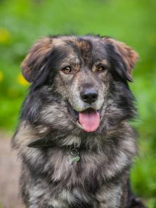 Мишка, составлю счастье семье с детишками!