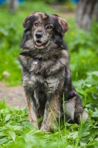 Мишка, составлю счастье семье с детишками!