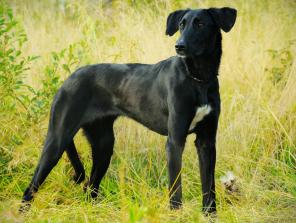 ��������� ������� ����, ����� ������, � ������� ����.