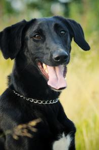 ��������� ������� ����, ����� ������, � ������� ����.