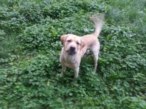 ������� �������� 2 ���� � ���