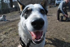 ������������� ���� ���� ���,������ � ���.