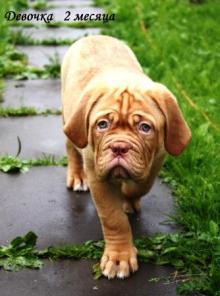 ������������� ����� ���������� ����