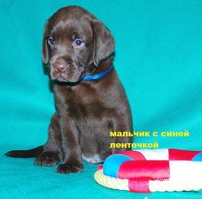 ���������� ����� ���������