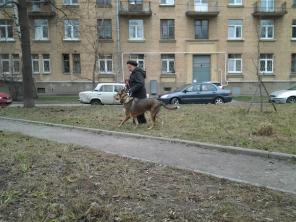 ���� ��� - ������������� ������ ����, 1 ���