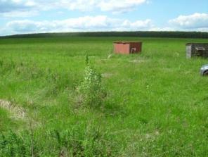 ������������� �. ������� 46 �����, 60 ��