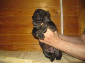 ��� ��������� � ������ �����