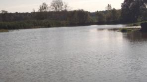 ���   ����  ������.